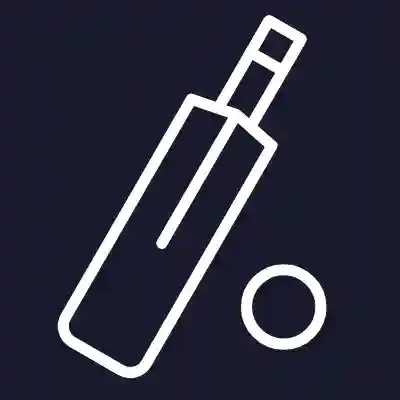 Icon 1
